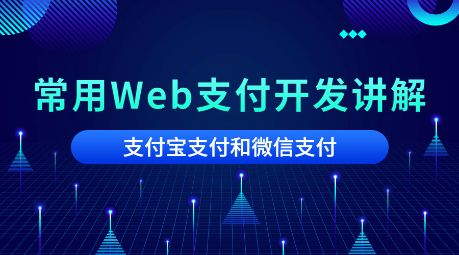 2020常用Web支付开发讲解-副业宝典