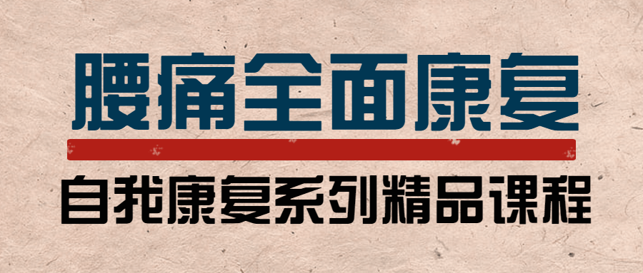 腰痛运动康复：教练与患者必学-副业宝典