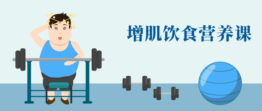 健身增肌饮食营养课-副业宝典
