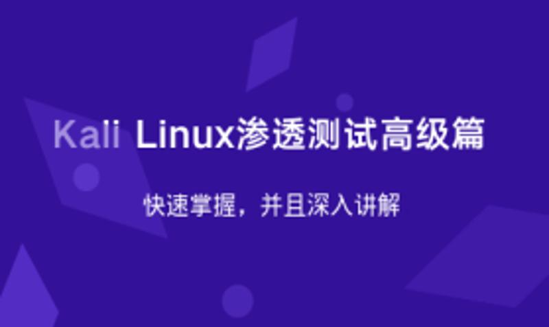 Kali Linux渗透测试高级篇-副业宝典