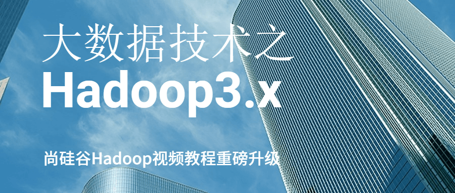 大数据技术之Hadoop3.x-副业宝典