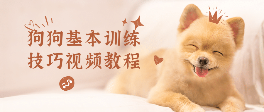 狗狗基本训练技巧视频教程-副业宝典
