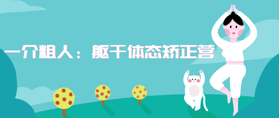 一介粗人：躯干体态矫正营-副业宝典