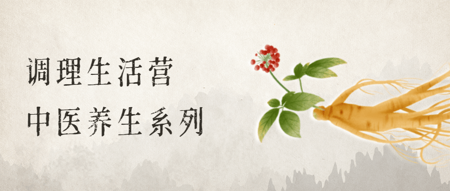 调理生活营：中医养生系列-副业宝典