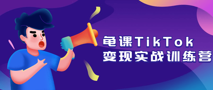 龟课TikTok变现实战训练营-副业宝典