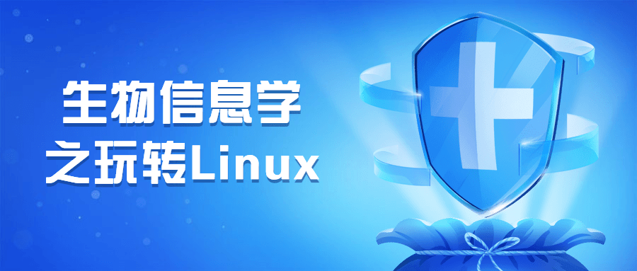 生物信息学之玩转Linux-副业宝典