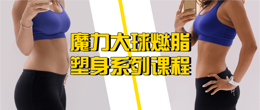 魔力大球燃脂塑身系列课程-副业宝典