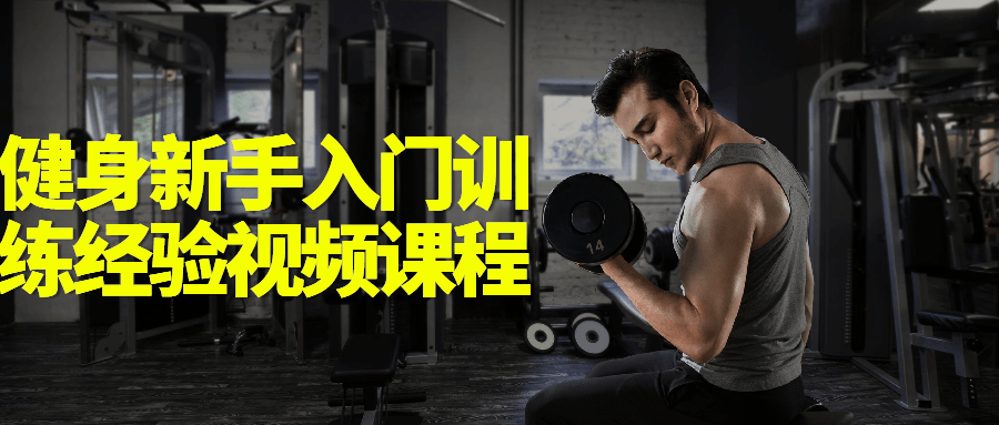 健身新手入门训练经验视频课程-副业宝典