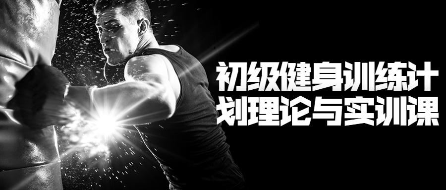 初级健身训练计划理论与实训课-副业宝典