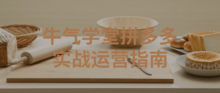 牛气学堂拼多多实战运营指南-副业宝典