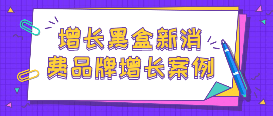 增长黑盒新消费品牌增长案例-副业宝典