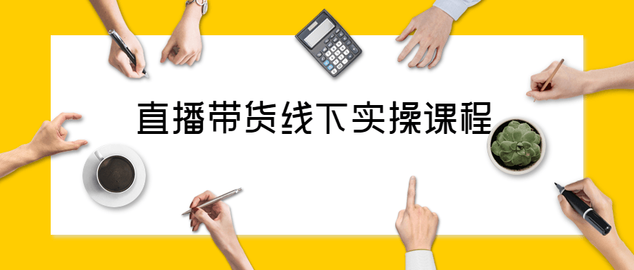 直播带货线下实操视频课程-副业宝典