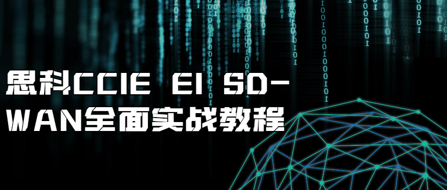思科CCIE EI SD-WAN全面实战教程-副业宝典