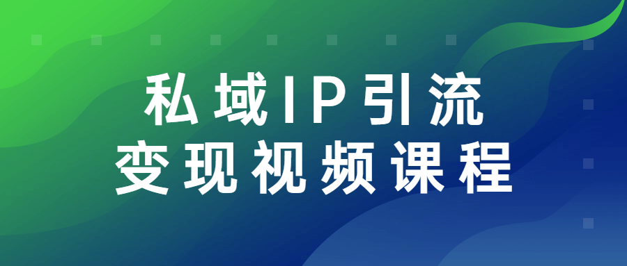 私域IP引流变现视频课程-副业宝典