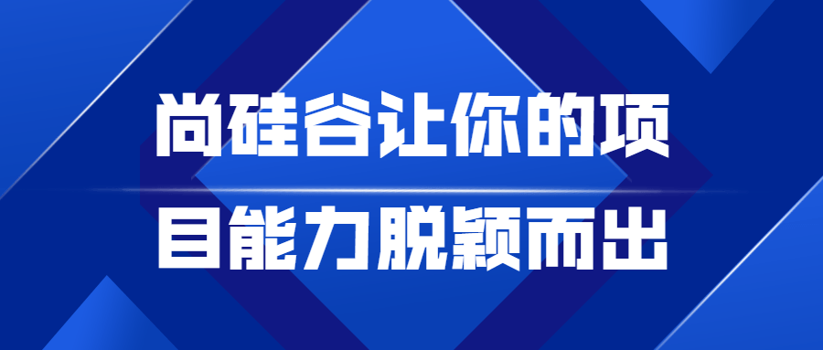尚硅谷让你的项目能力脱颖而出-副业宝典