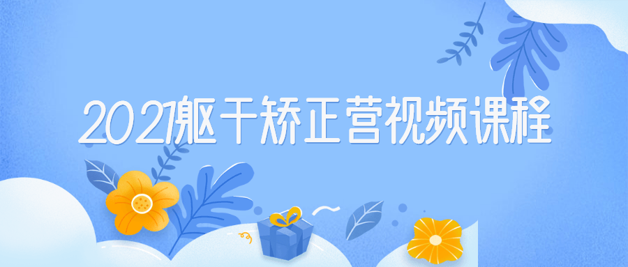 2021躯干矫正营视频课程-副业宝典