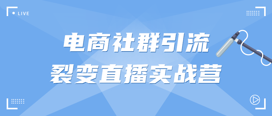 电商社群引流裂变直播实战营-副业宝典