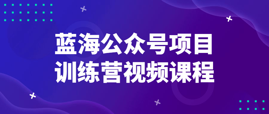 蓝海公众号项目训练营视频课程-副业宝典