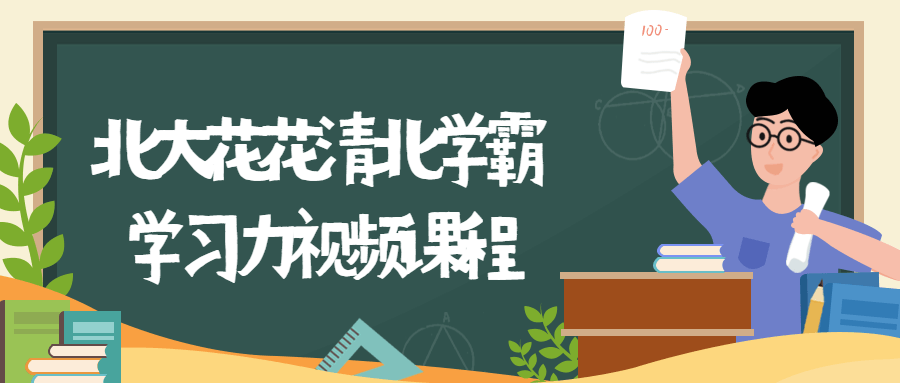 北大花花清北学霸学习力课程-副业宝典