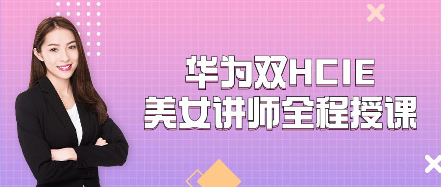 华为双HCIE美女讲师全程授课-副业宝典