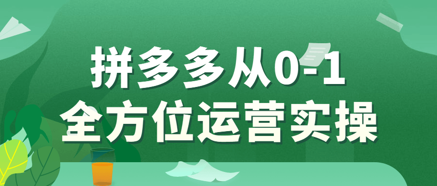 拼多多从0-1全方位运营实操-副业宝典