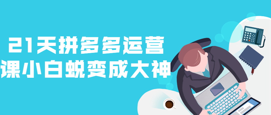 21天拼多多运营课小白蜕变成大神-副业宝典