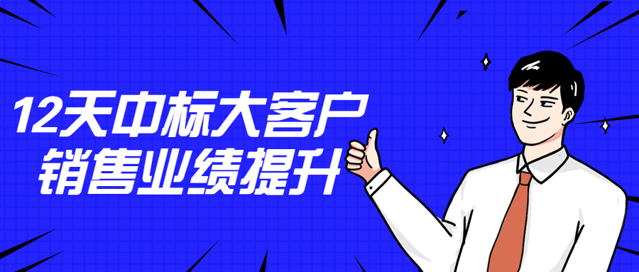 12天中标大客户销售业绩提升-副业宝典