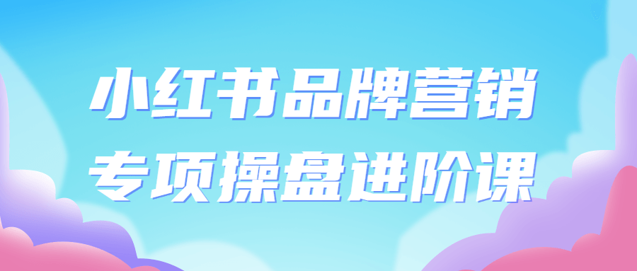 小红书品牌营销专项操盘进阶课-副业宝典