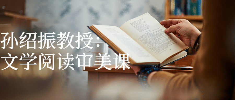 孙绍振教授：文学阅读审美课-副业宝典