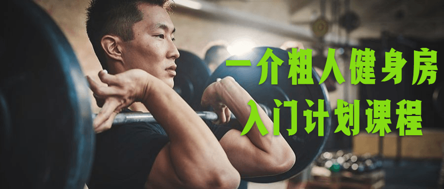 一介粗人健身房入门计划课程-副业宝典