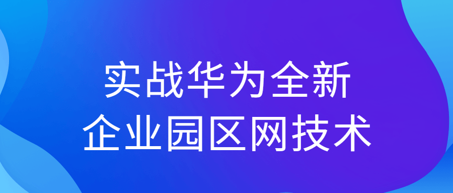 实战华为全新企业园区网技术-副业宝典