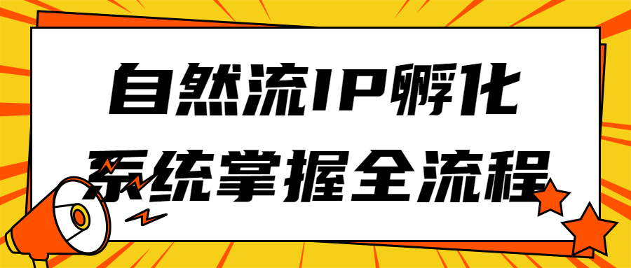 自然流IP孵化系统掌握全流程-副业宝典