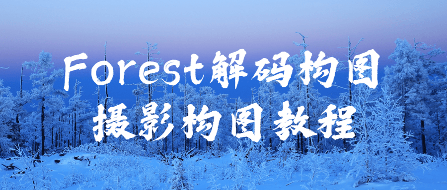 Forest解码构图摄影构图教程-副业宝典