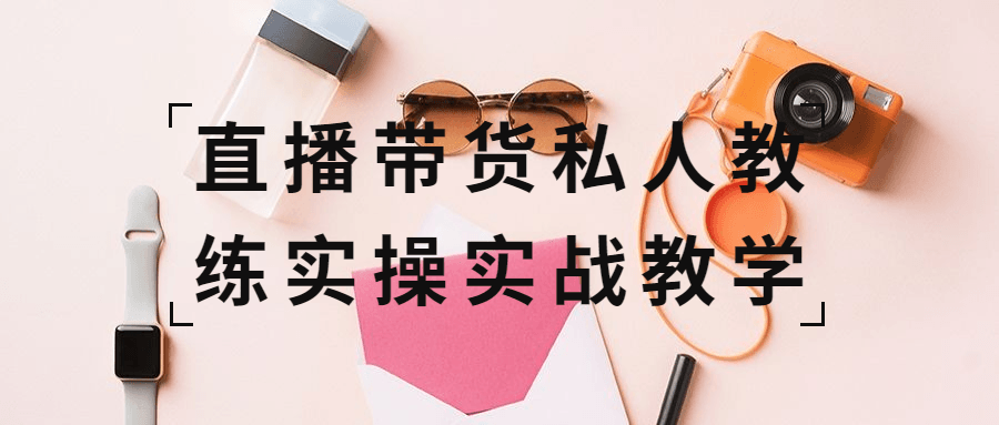 直播带货私人教练实操实战教学-副业宝典