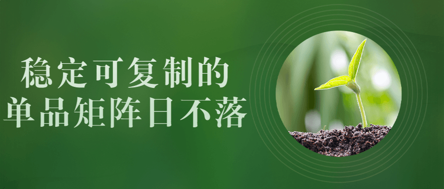 稳定可复制的单品矩阵日不落-副业宝典
