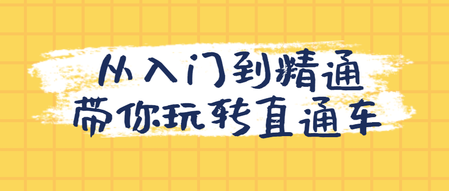 从入门到精通带你玩转直通车-副业宝典