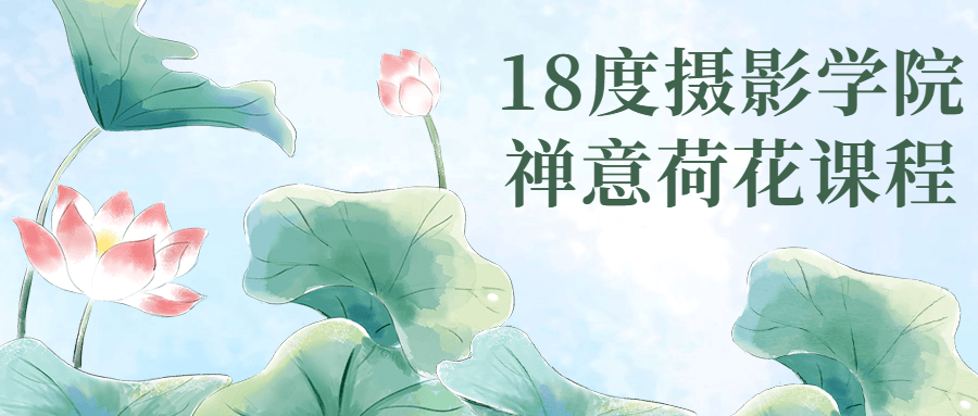 18度摄影学院禅意荷花课程-副业宝典