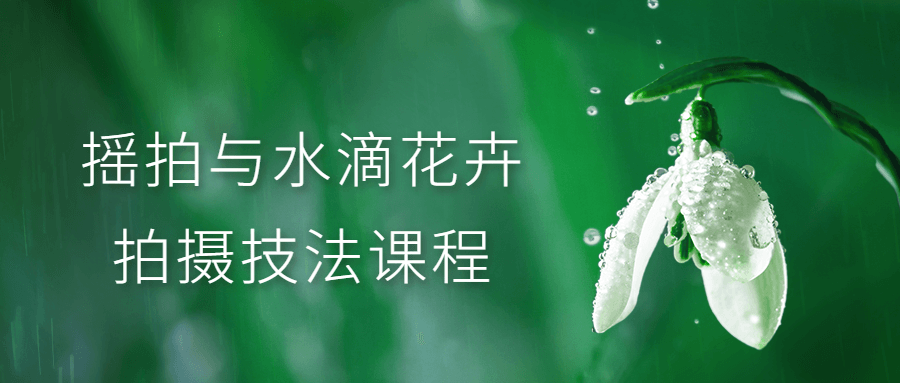 摇拍与水滴花卉拍摄技法课程-副业宝典