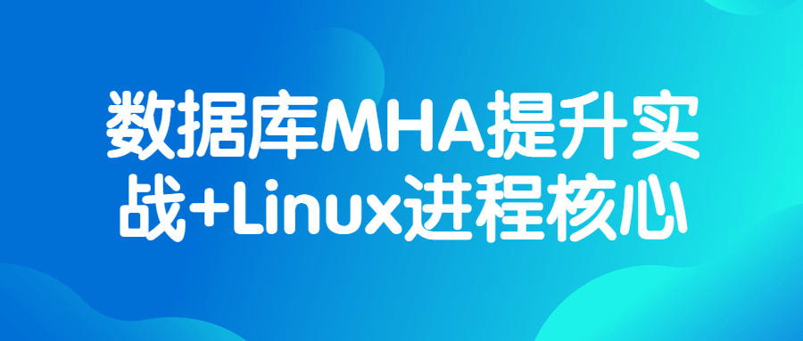 数据库MHA提升实战+Linux进程核心-副业宝典