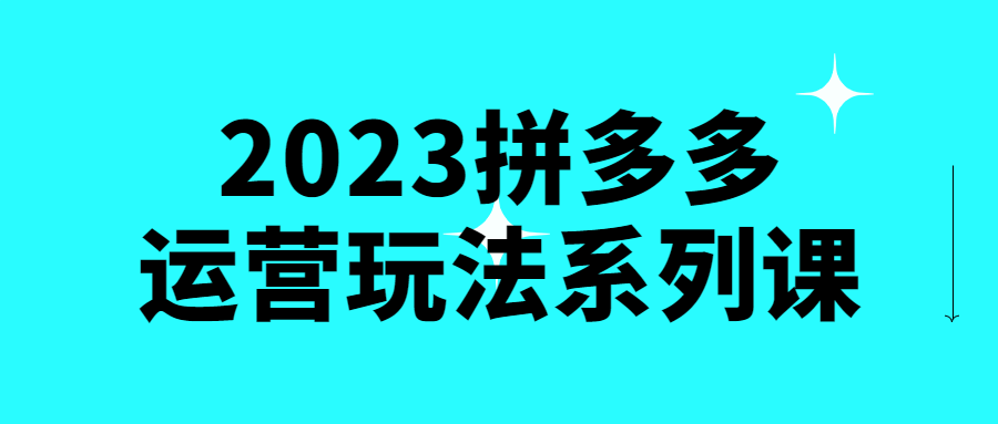 2023拼多多运营玩法系列课-副业宝典
