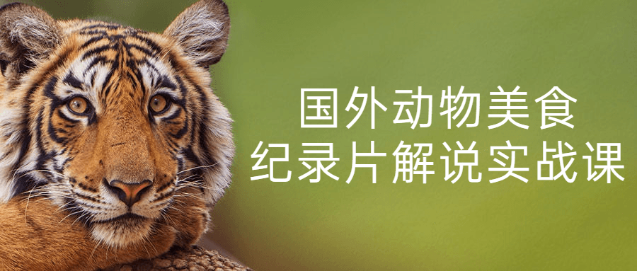 国外动物美食纪录片解说实战课-副业宝典