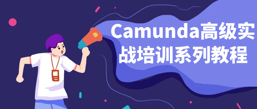 Camunda高级实战培训系列教程-副业宝典