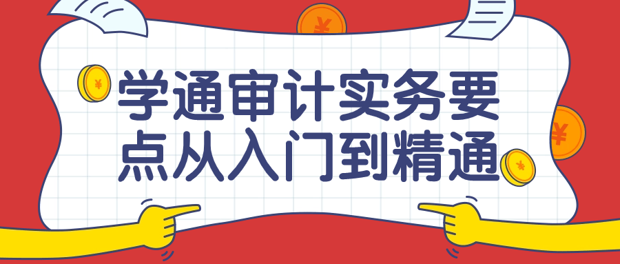 学通审计实务要点从入门到精通课-副业宝典