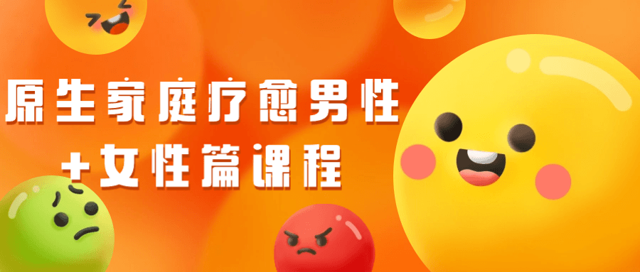 原生家庭疗愈男性+女性篇课程-副业宝典