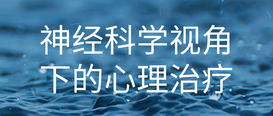 神经科学视角下的心理治疗-副业宝典