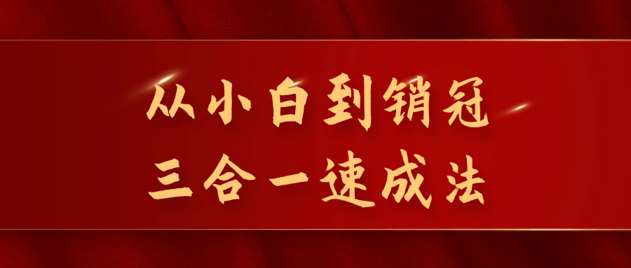 从小白到销冠三合一速成法-副业宝典