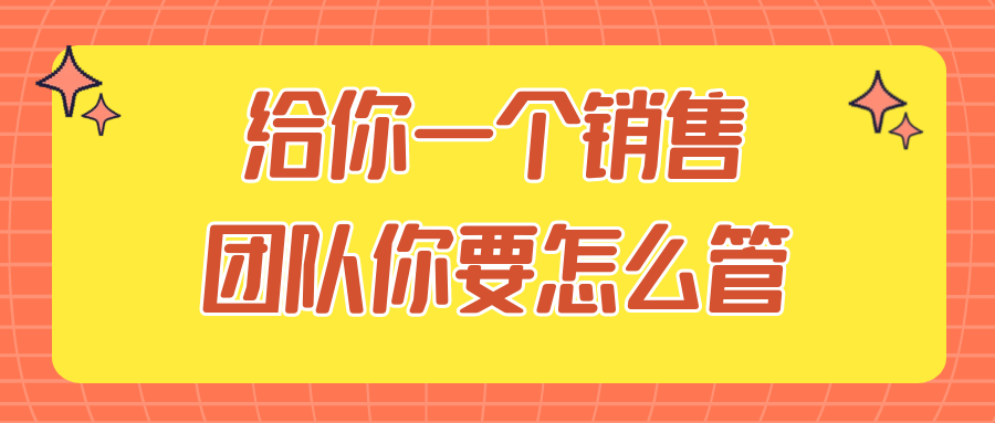 给你一个销售团队你要怎么管-副业宝典