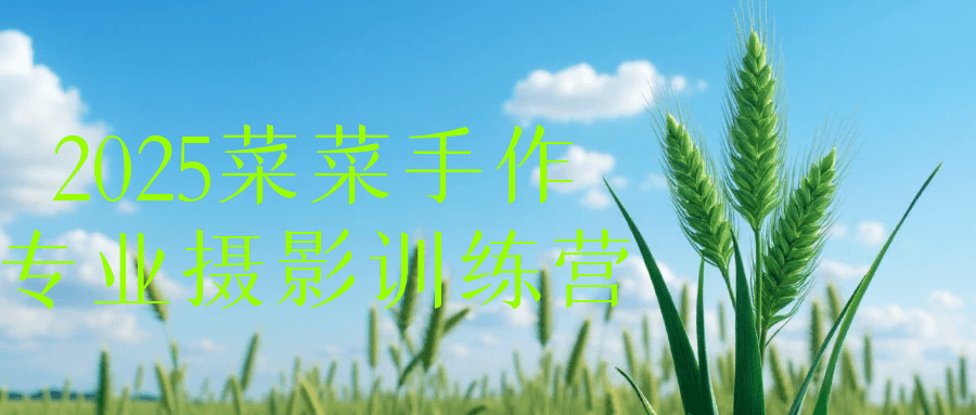 2025菜菜手作专业摄影训练营-副业宝典