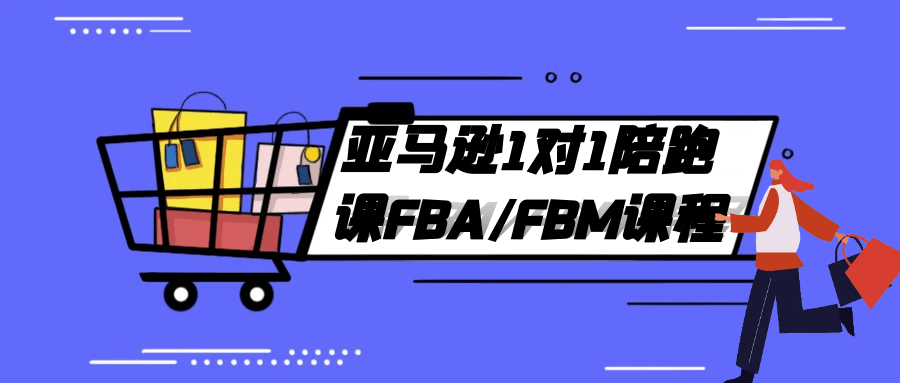 亚马逊1对1陪跑课FBA/FBM课程-副业宝典