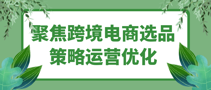 聚焦跨境电商选品策略运营优化-副业宝典